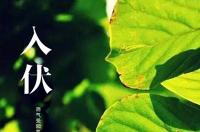 入伏在即，酷暑將至